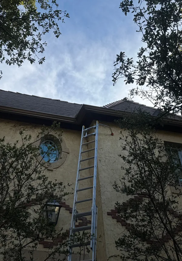 A dark gutter along the roof line of a tan stucco two-storey home, a ladder against the wall and trees on both sides, under a blue sky