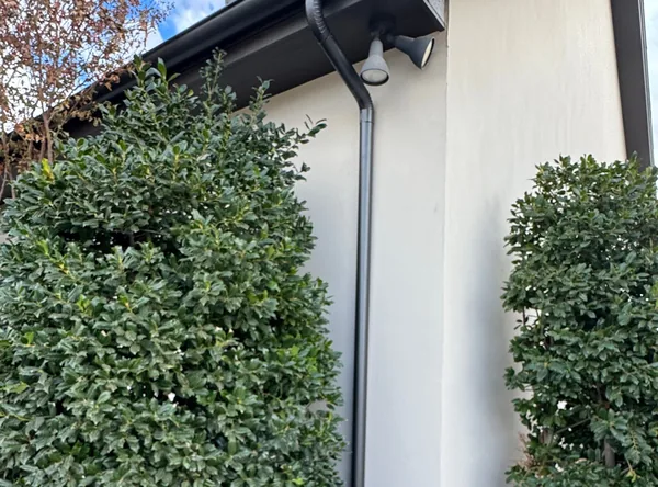 A black downspout running down a white stucco wall between two shrubs