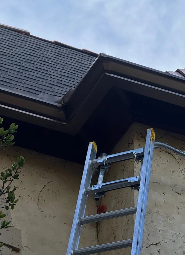 A ladder against a tan stucco wall, reaching up to the eave where a new bronze gutter runs under a shingle roof